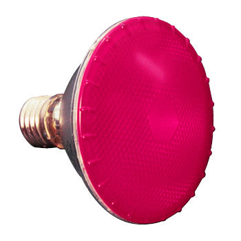 PAR30 Pink 75W FL Colored Light Bulb #10714