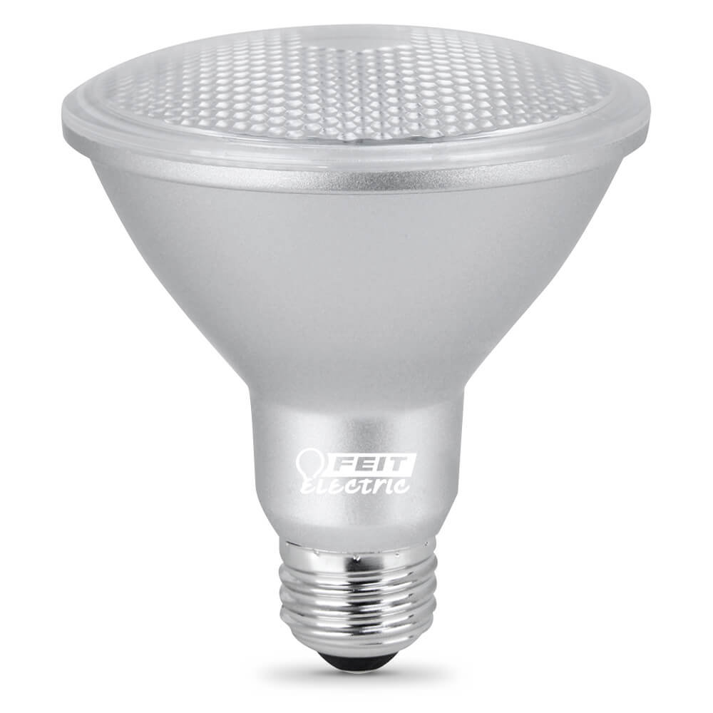 LED PAR30 Short Neck