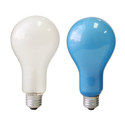 Photo Studio Light Bulbs