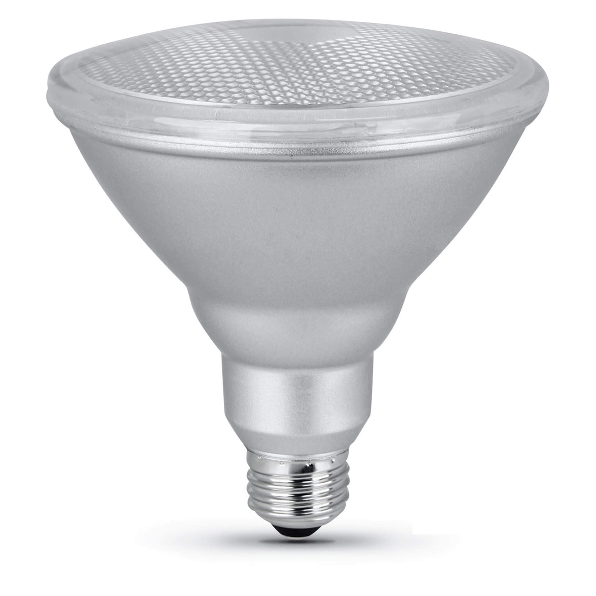 LED PAR38