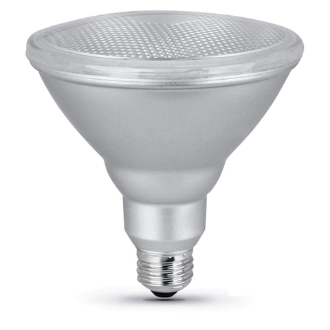 LED PAR38