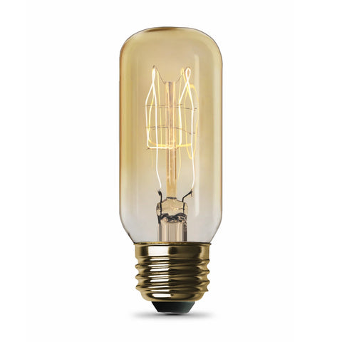 60 Watt Vintage T12 Bulb (6 PACK) 51085-FETc
