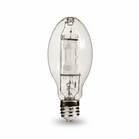 MH175/U Single Bulb on White Background