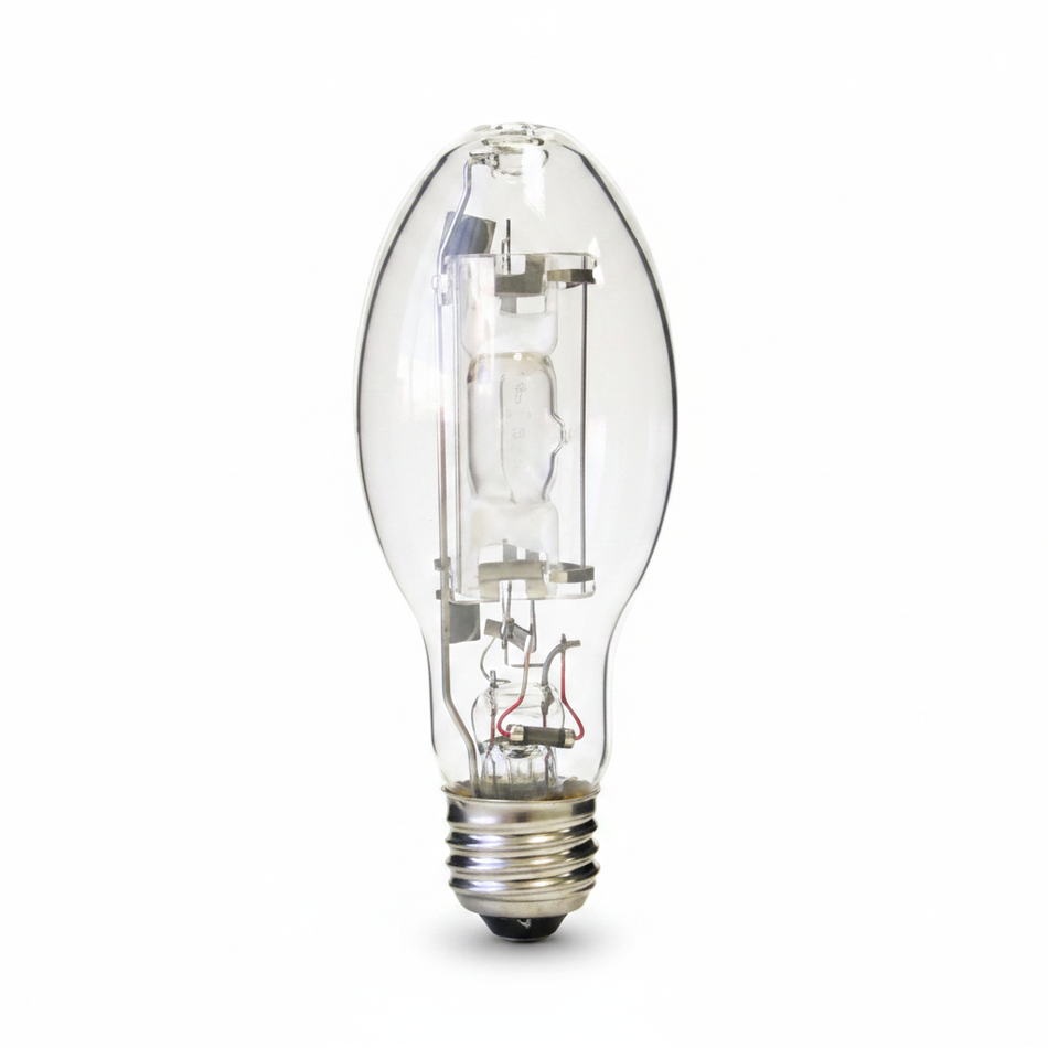 Right Bulb on White Background