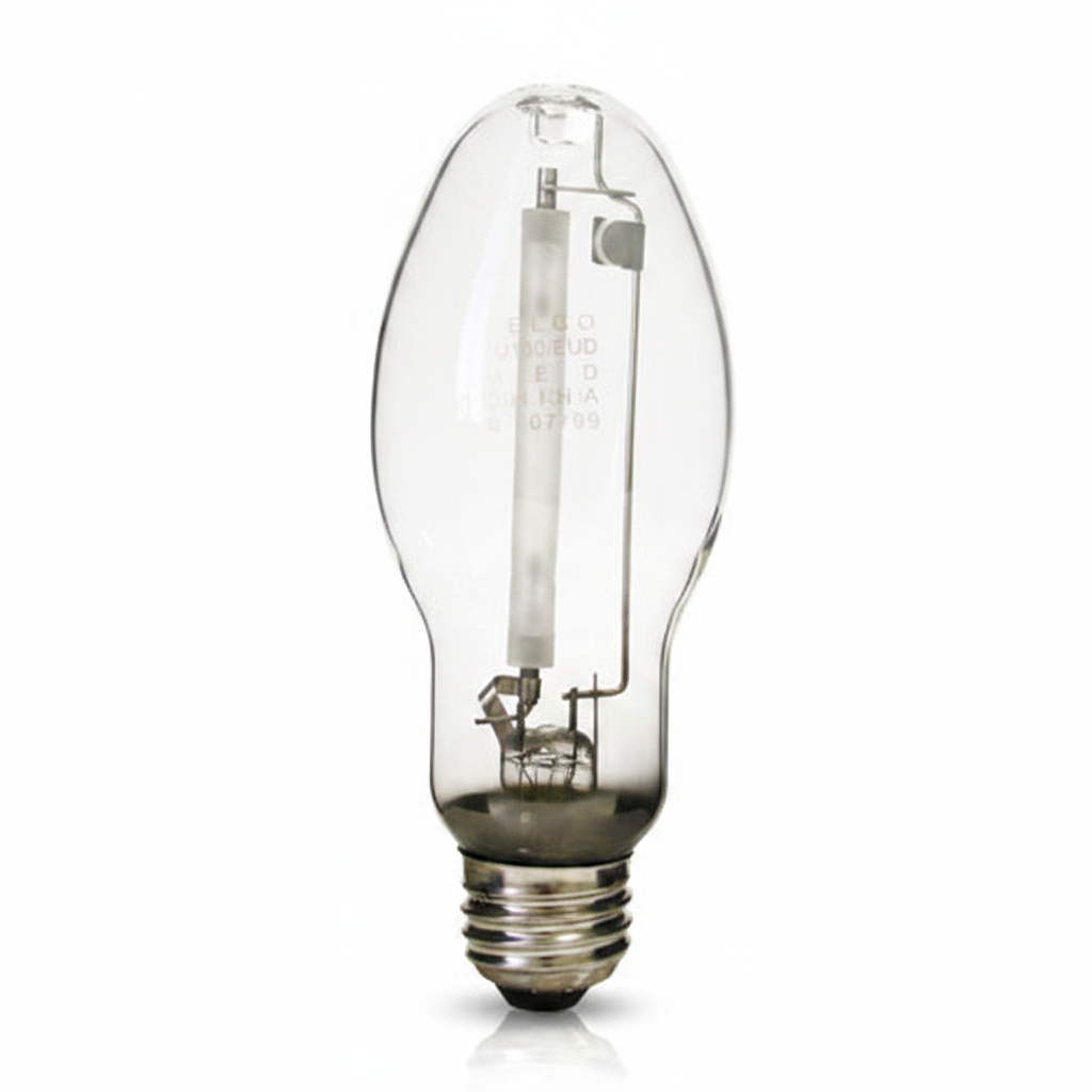 Right Bulb on White Background