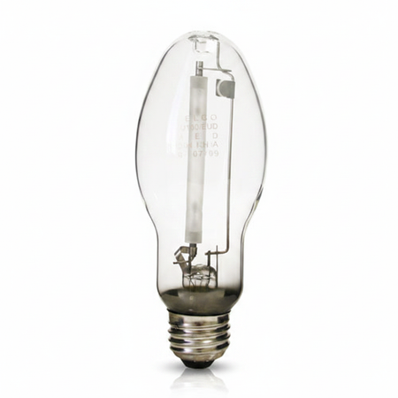 Right Bulb on White Background