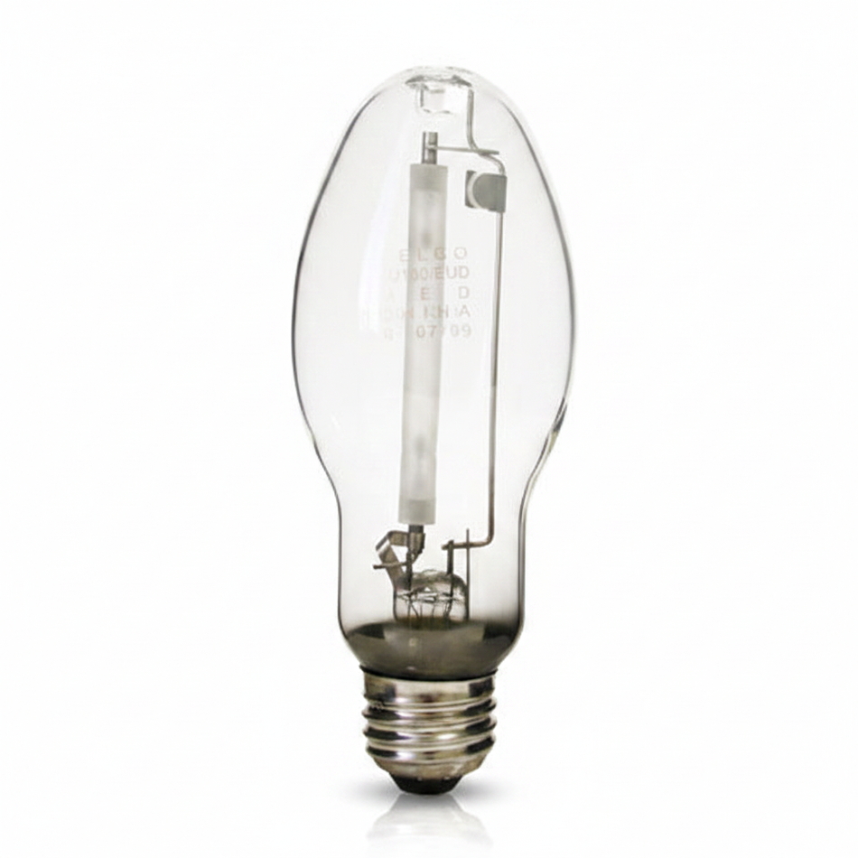 Right Bulb on White Background