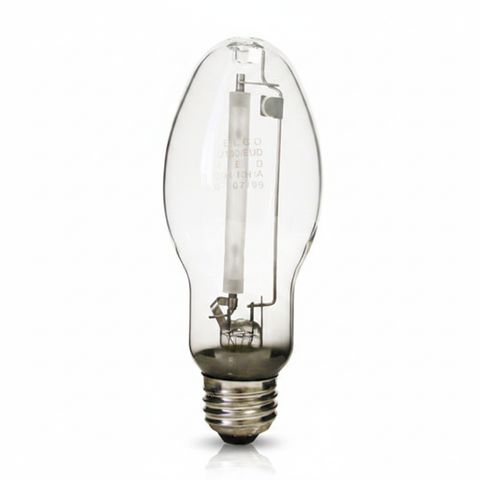 Right Bulb on White Background