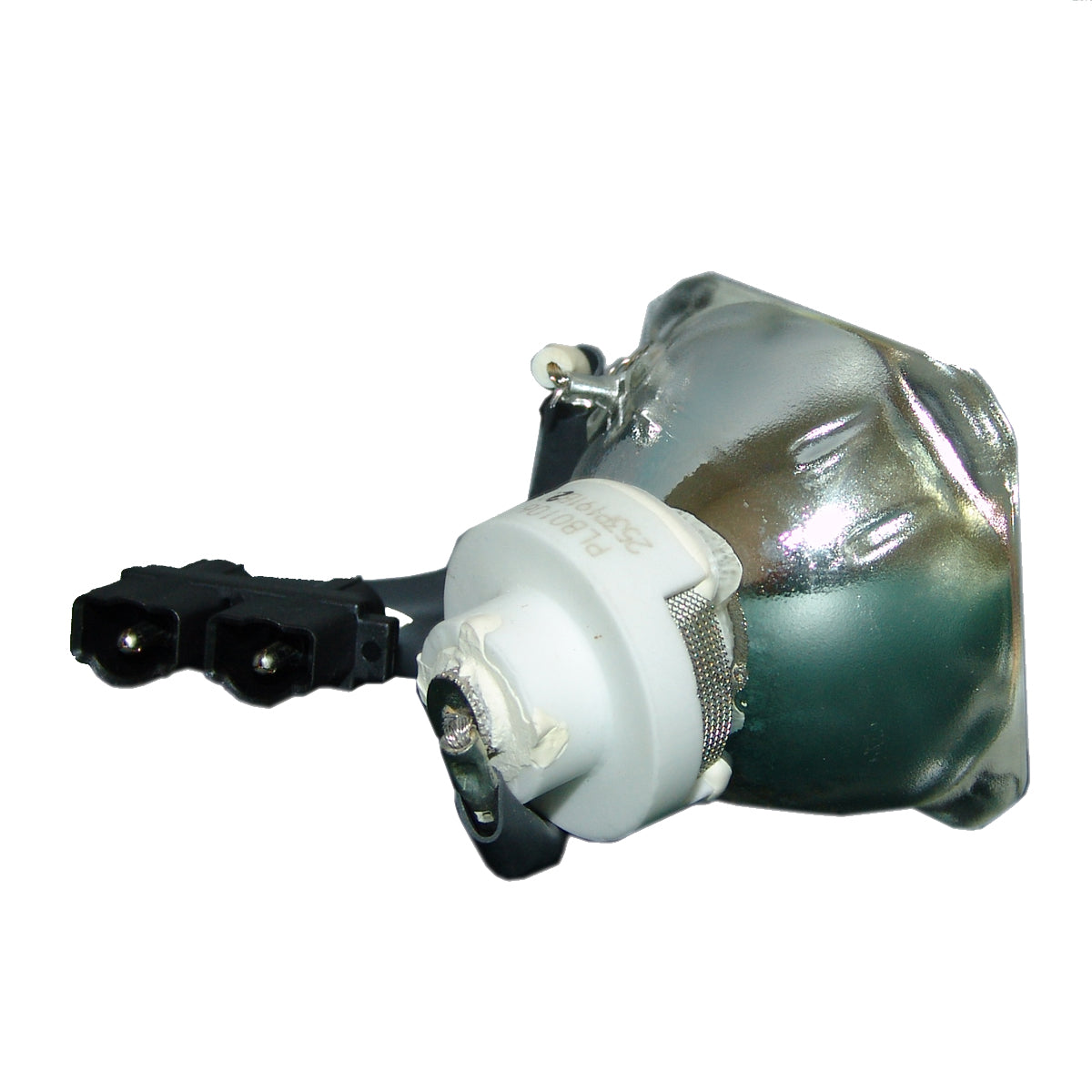 Acer EC.J0401.002 Ushio Projector Bare Lamp