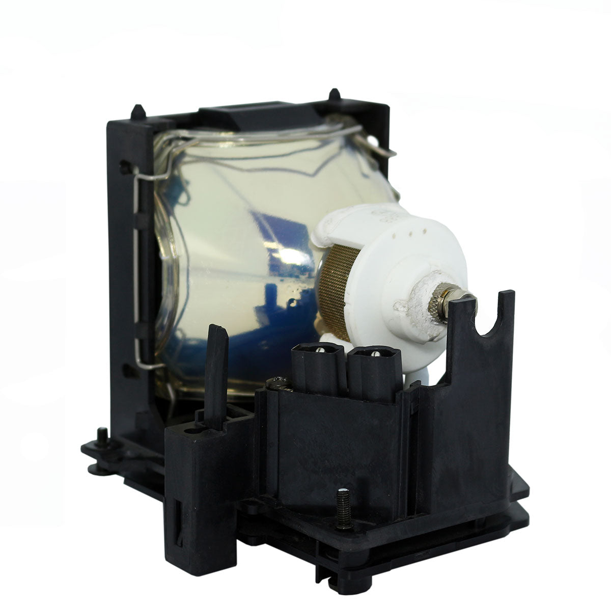 Liesegang ZU0289-04-4010 Ushio Projector Lamp Module