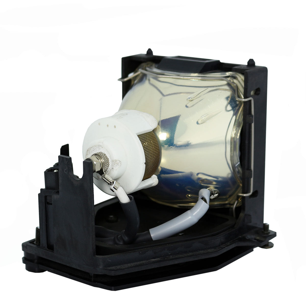 Liesegang ZU0289-04-4010 Ushio Projector Lamp Module