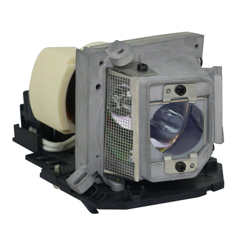 Acer EC.J8000.001 Philips Projector Lamp Module