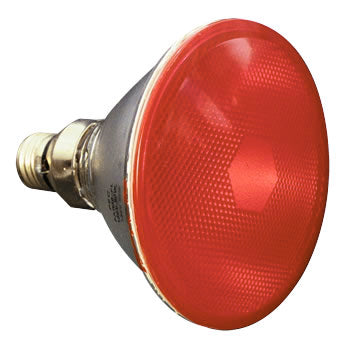 PAR38 Amber 90W FL - Colored Light Bulb