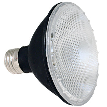 50W PAR30 Black Back Coated FL 120V Halogen Lamp #10911