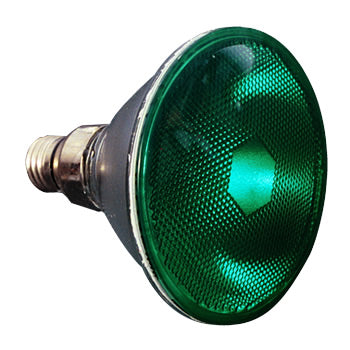 PAR38 Green 90W FL Colored Light Bulb #10723