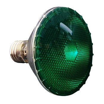 PAR30 Green 75W FL Colored Light Bulb #10713